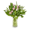 Kytice tulipánů